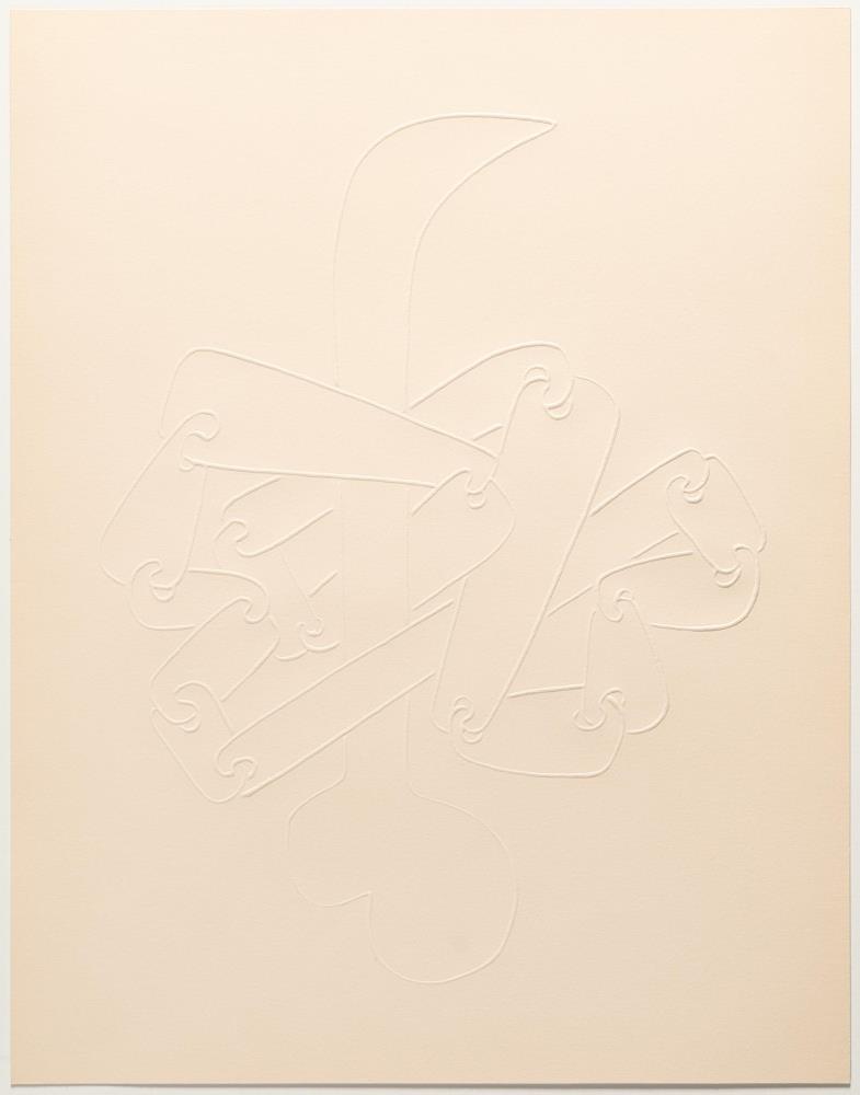 L'oiseau qui n'existe pas