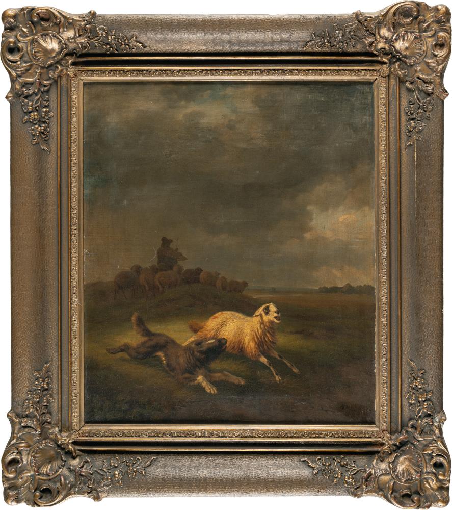Hütehund ein Schaf einfangend