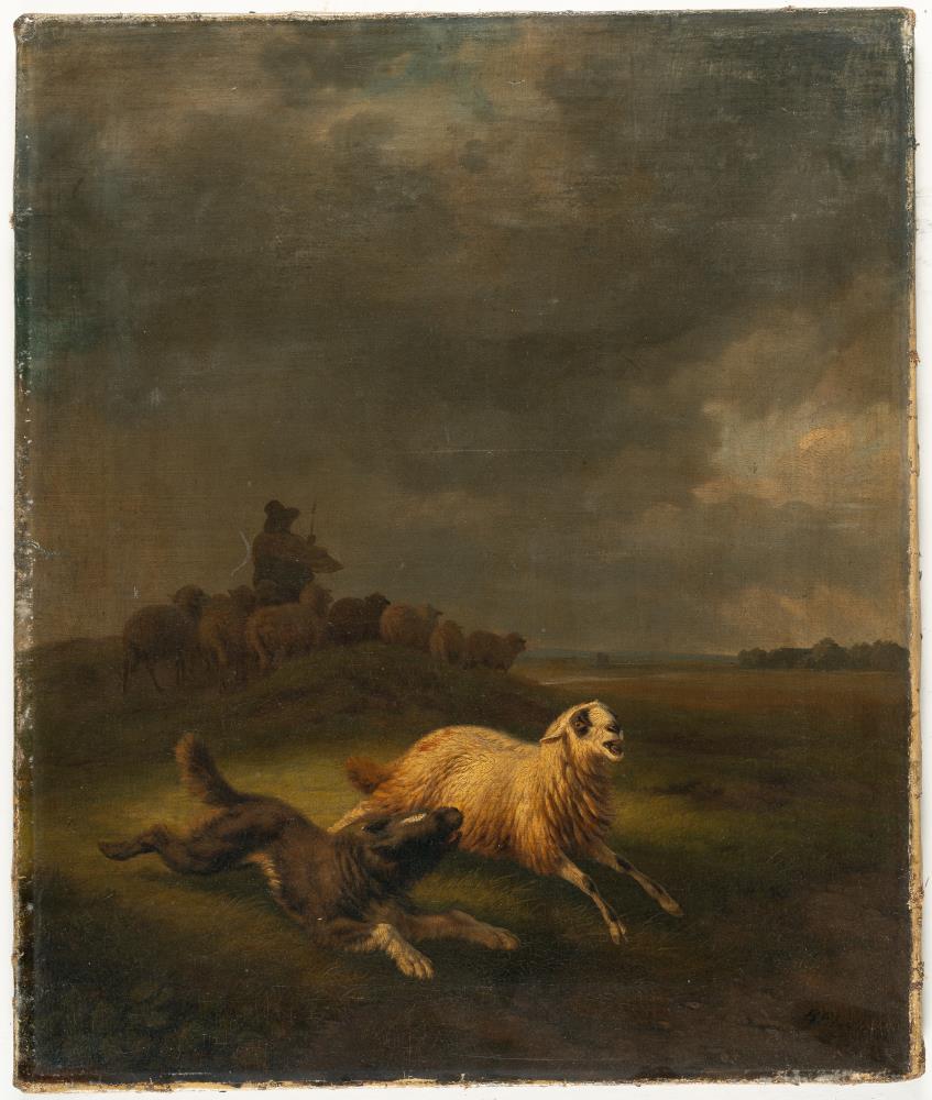 Hütehund ein Schaf einfangend