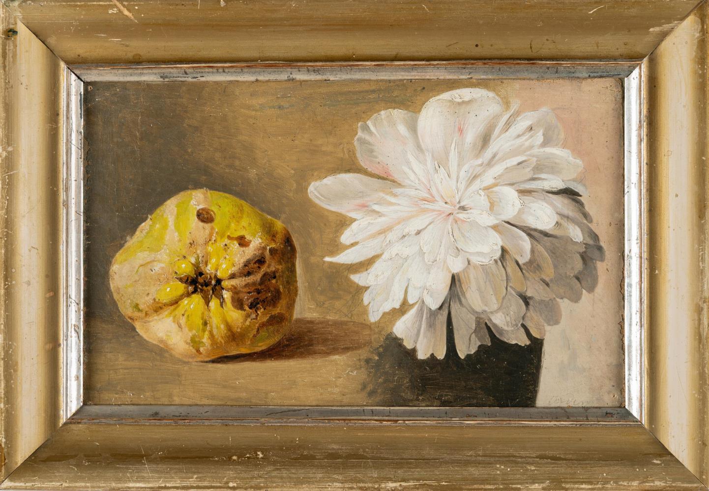 Stillleben mit Quitte und weißer Dahlienblüte