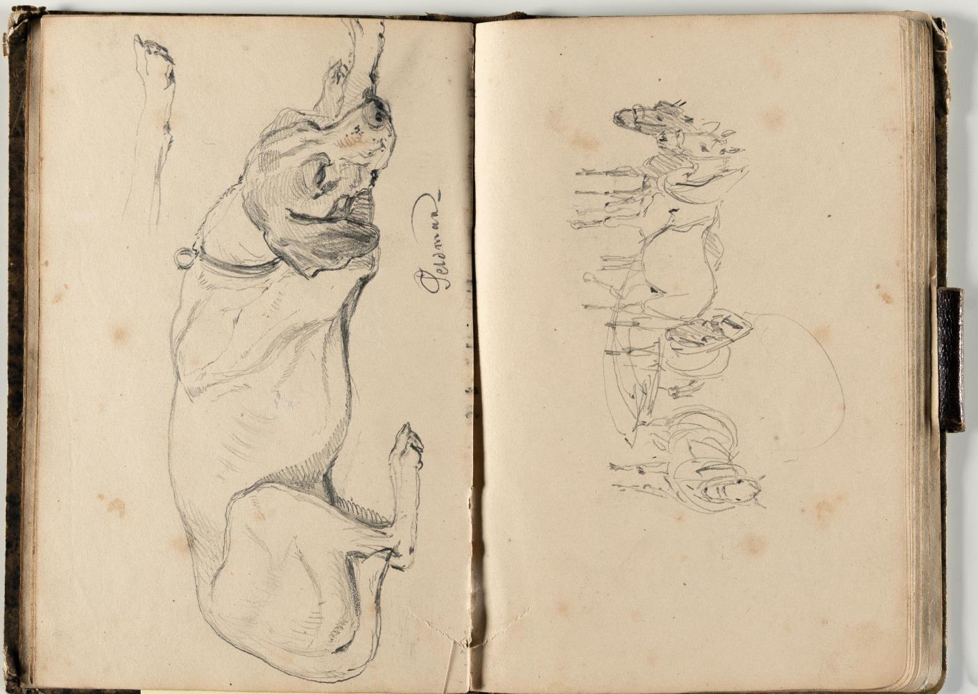 Skizzenbuch mit Tier- und Figurenstudien