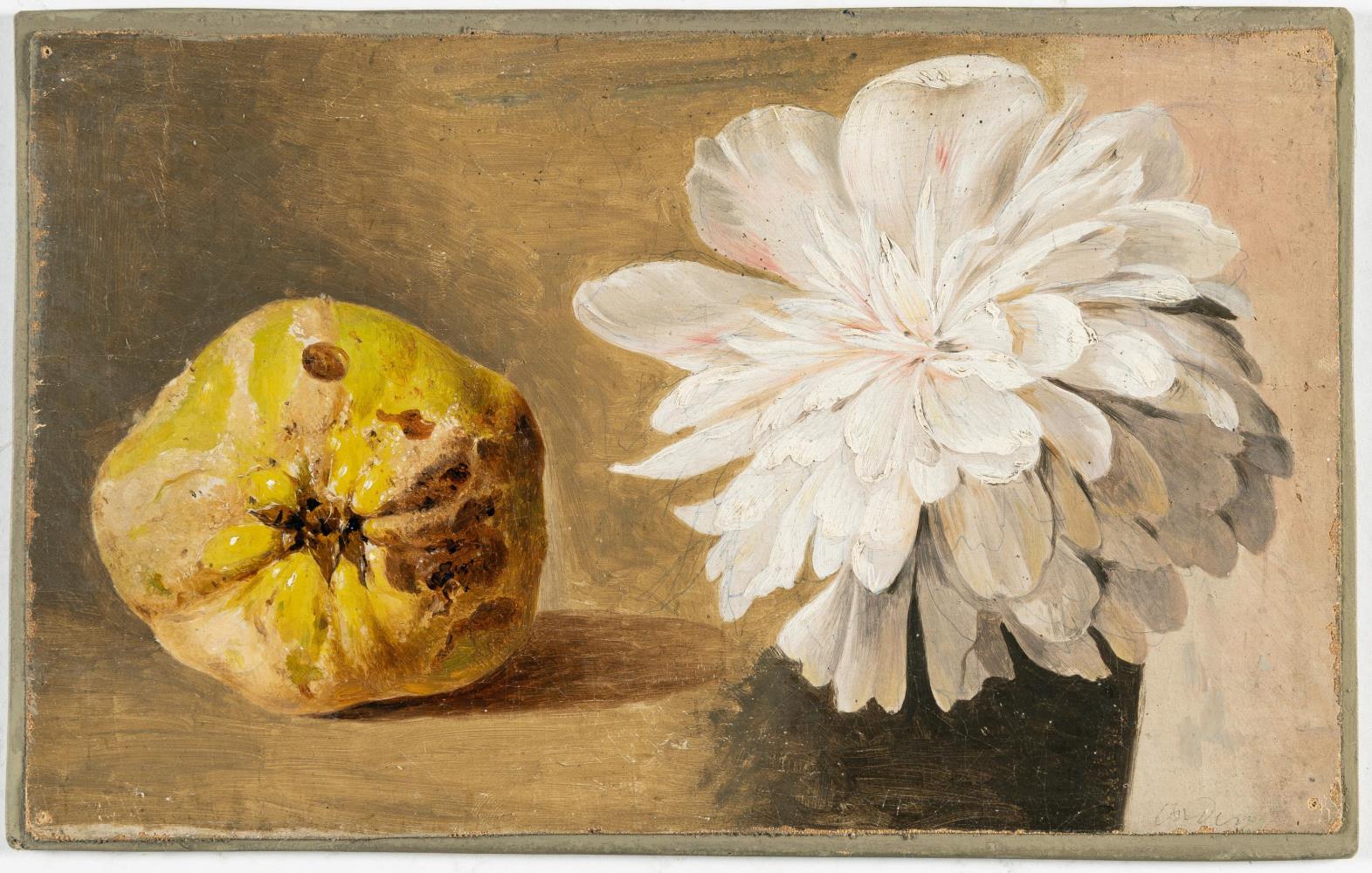Stillleben mit Quitte und weißer Dahlienblüte