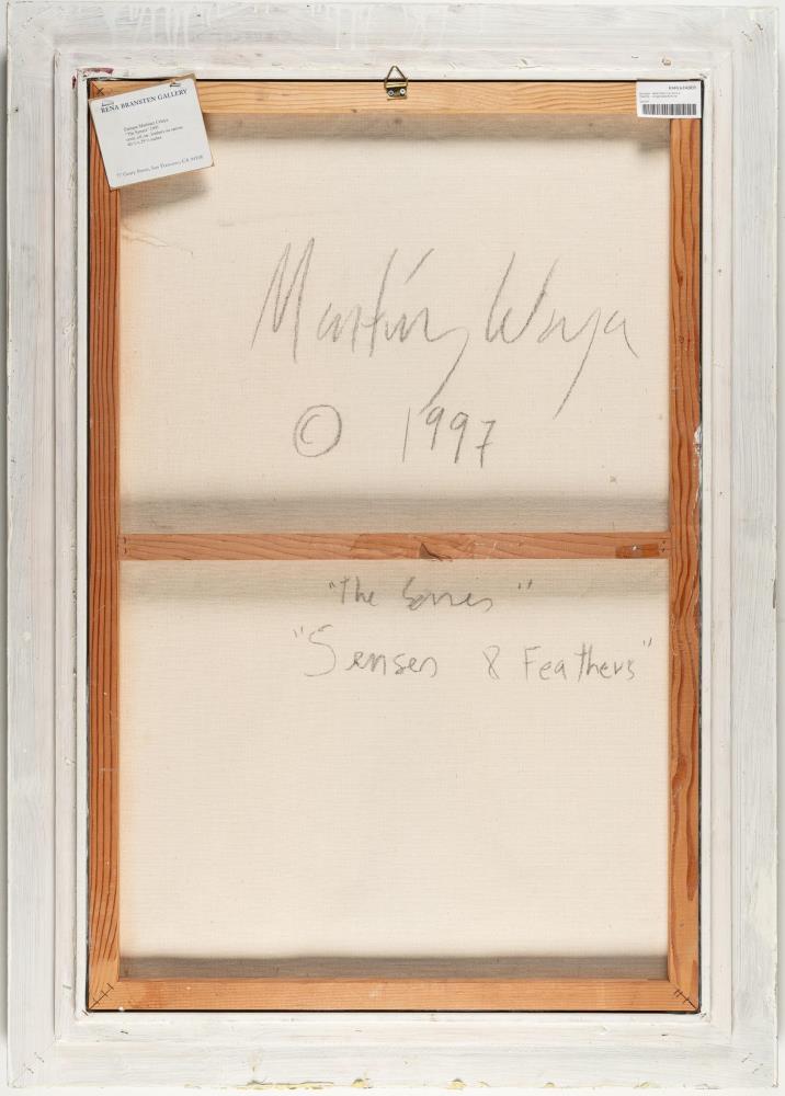 „The Senses & Feathers“