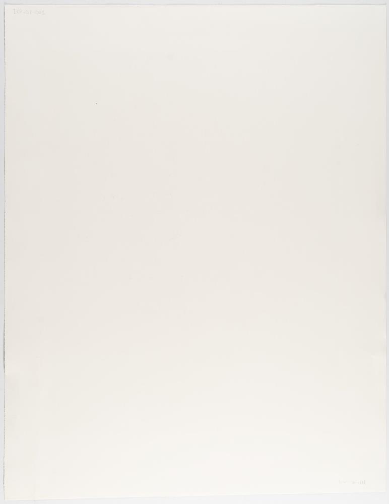 After...Karl Blossfeldt Art Forms in Nature