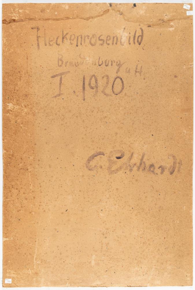 „Heckenrosenbild“