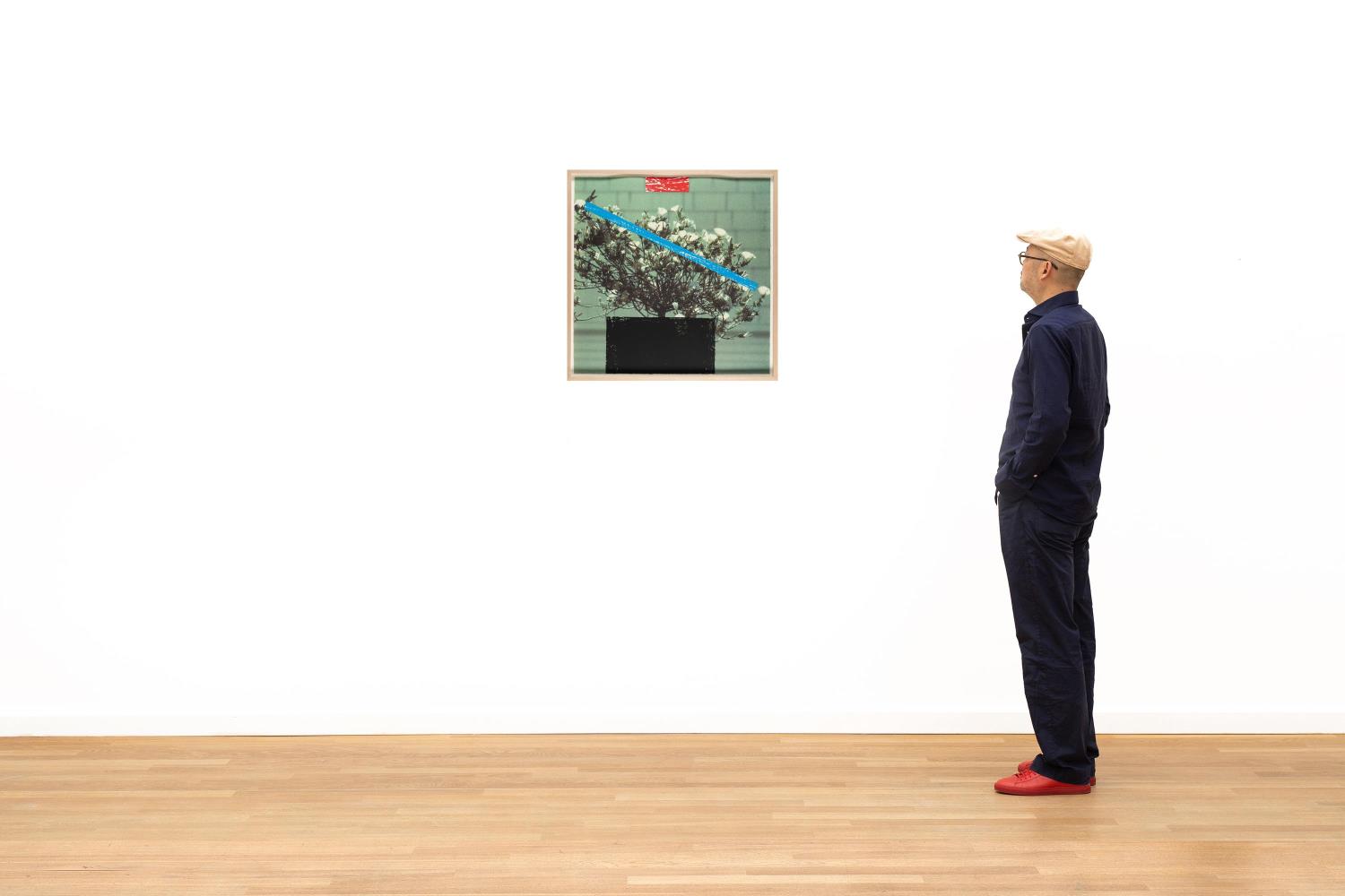 2 Bll. aus: 2623 Third Street, Santa Monica (Grass–Flower)