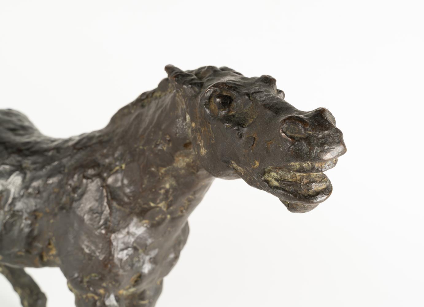 Shying horse