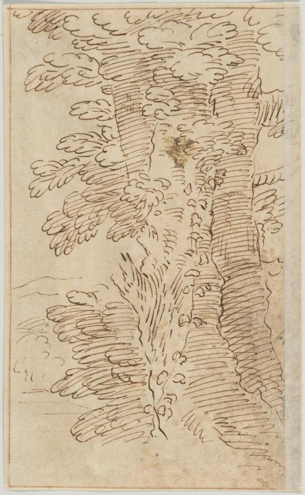 Baumstudie – Italienische Flusslandschaft mit einer Stadt in der Ferne  (recto-verso)