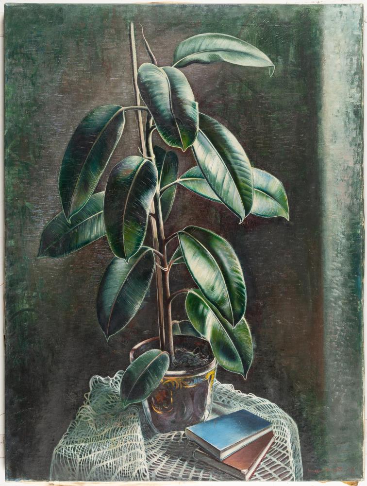 Stillleben mit Gummibaum