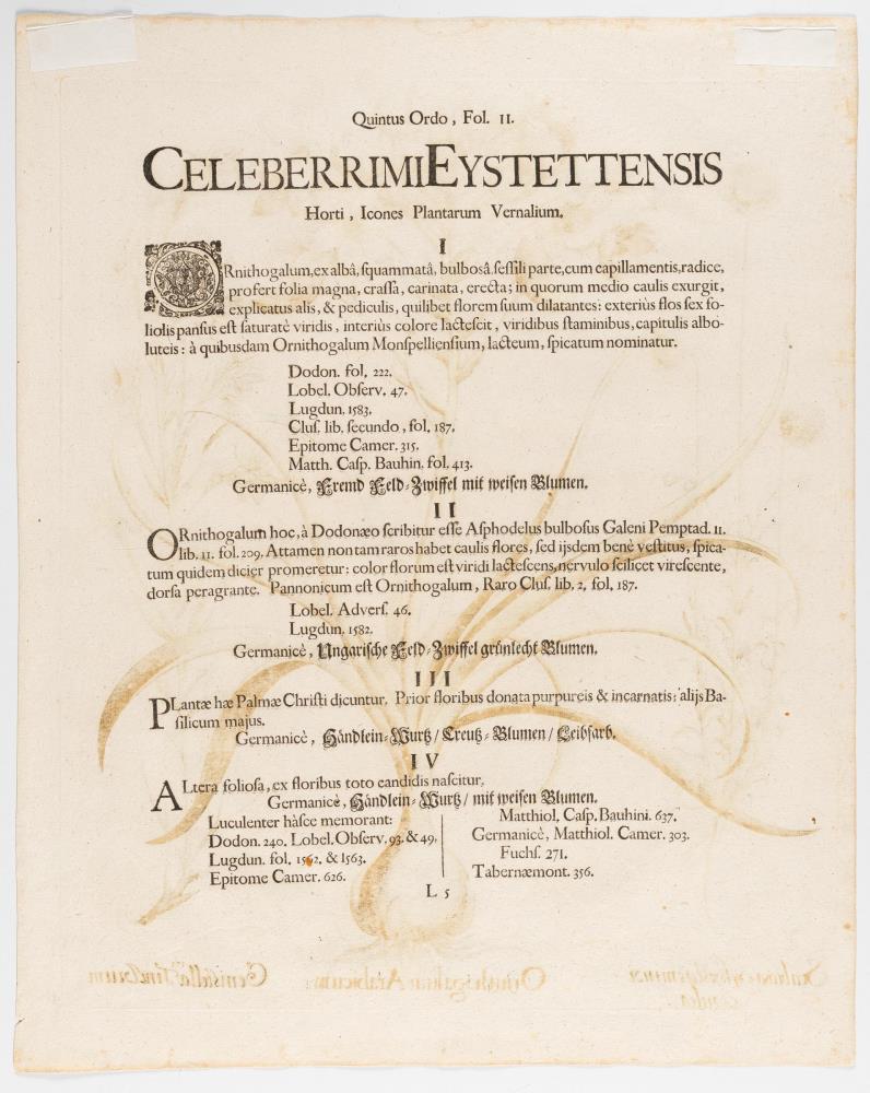 2 Bll. aus: Hortus Eystettensis