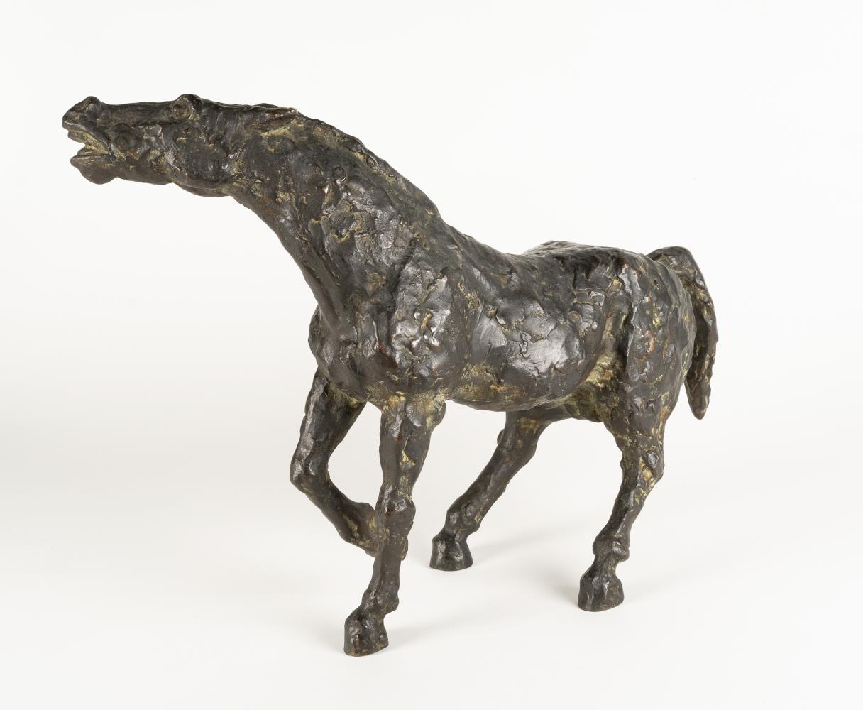Shying horse