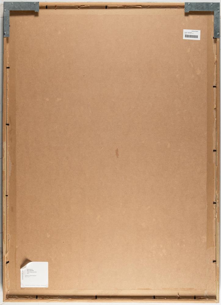 „Tulip Orange and Red“