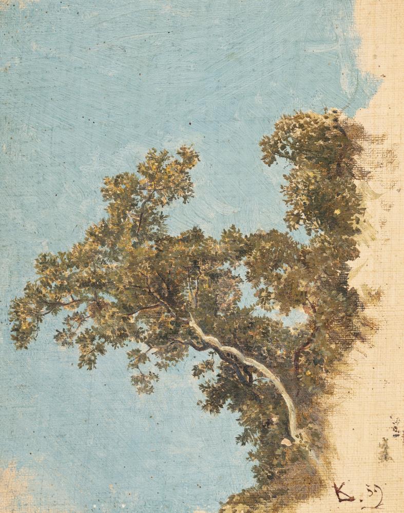 Baum vor blauem Himmel