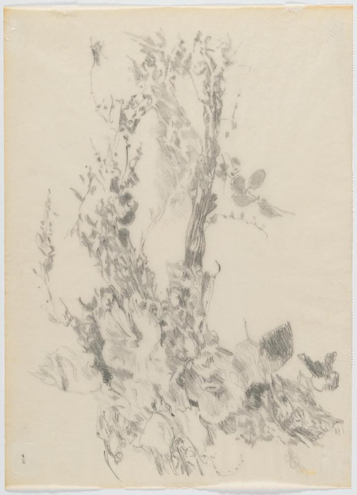 Blütenzweig (Studie)