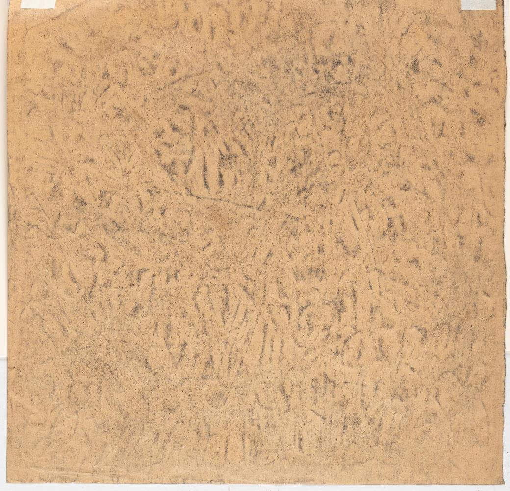 „Mühlenschlucht“ (Mill Gorge)