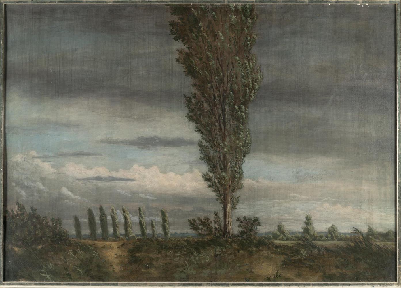 Regenlandschaft mit windgepeitschten Pappeln