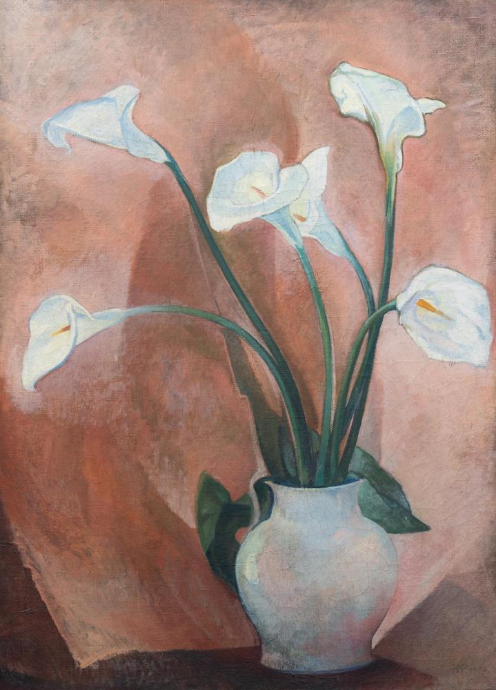 Calla-Lilien
