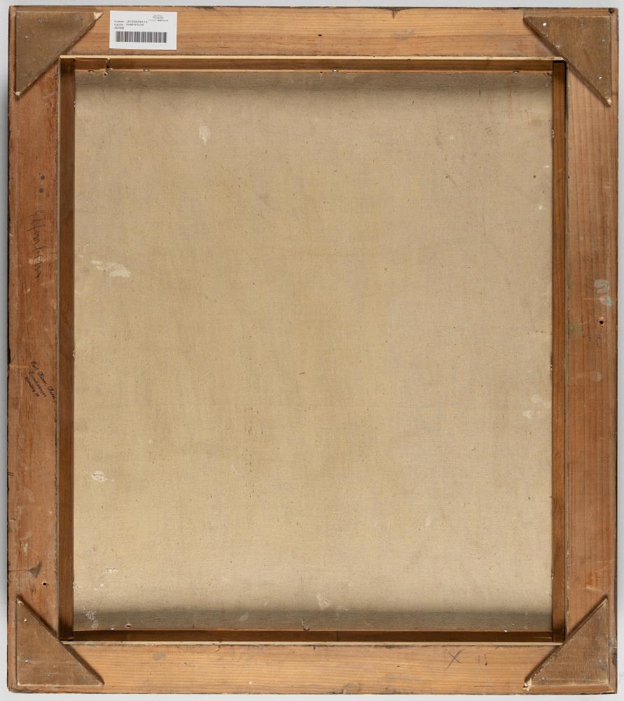 Fensterbrett mit rot blühendem Kaktus vor Dachlandschaft