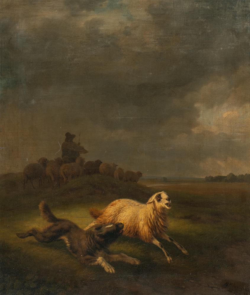 Hütehund ein Schaf einfangend