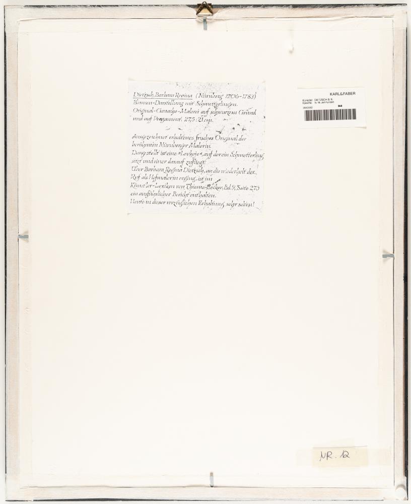 Levkoje mit Schmetterling und rotem Käfer