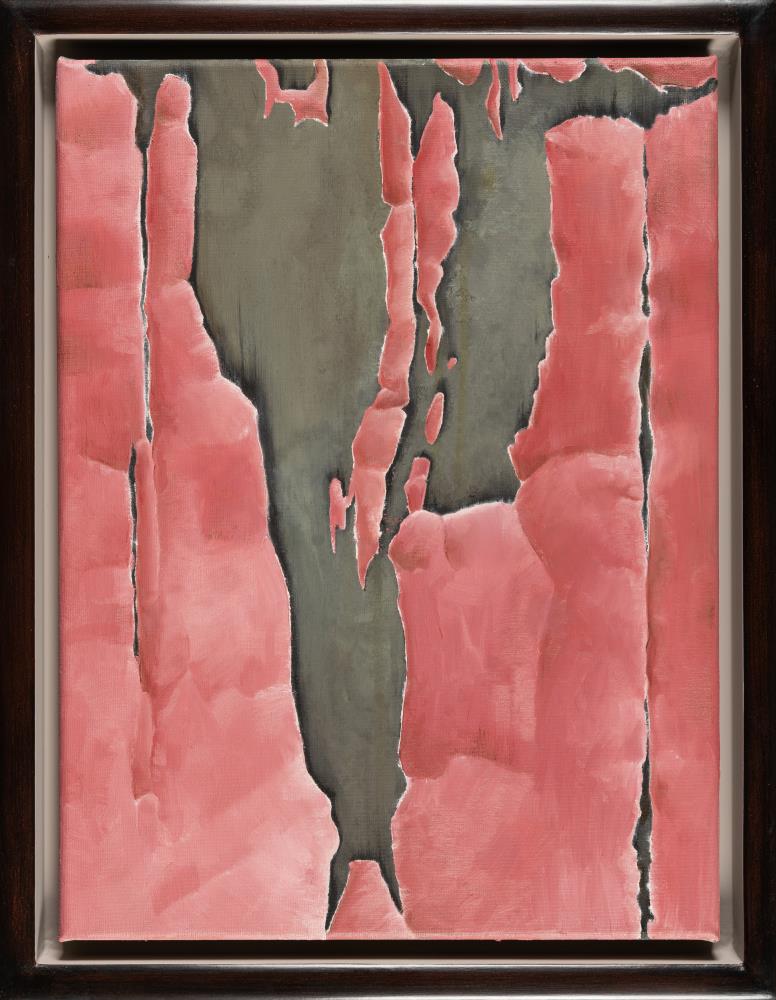 "DZEJE ROKU" (Die Geschichte des Jahres)