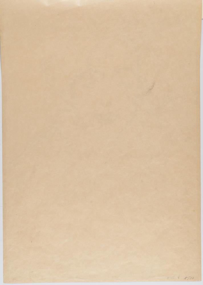 Damenbildnis von vorne