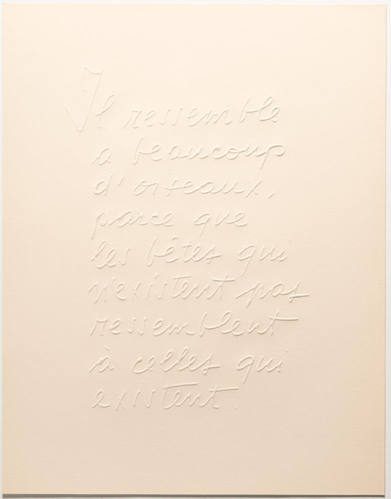 L'oiseau qui n'existe pas