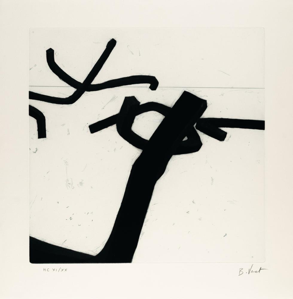 Combinaison Aléatoire de Lignes Indéterminées