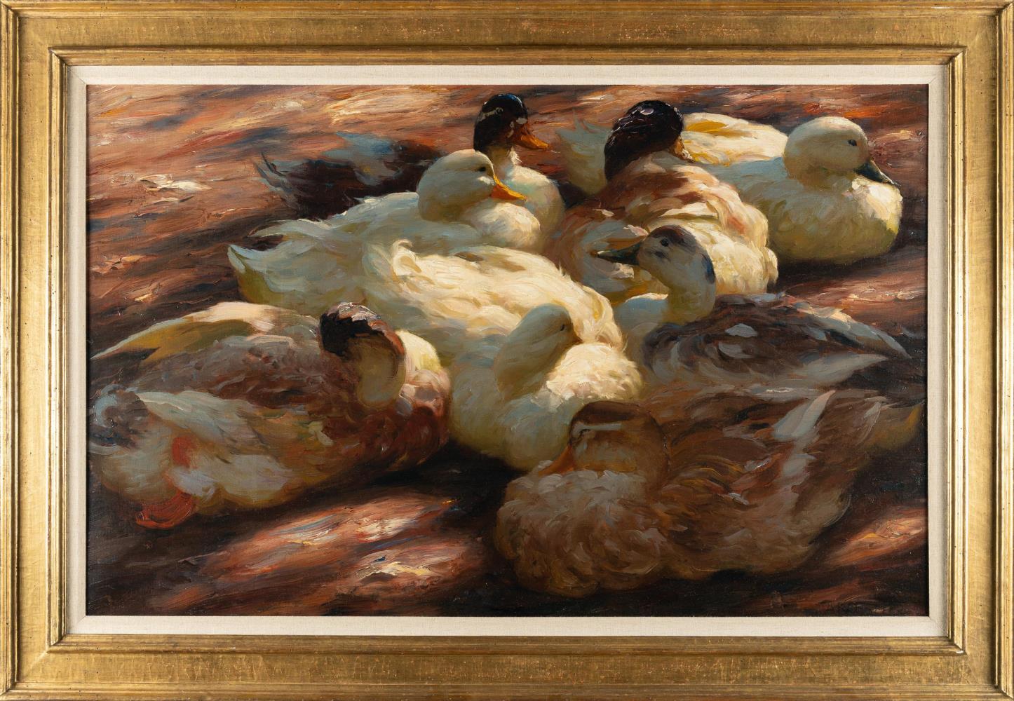 Ruhende Enten