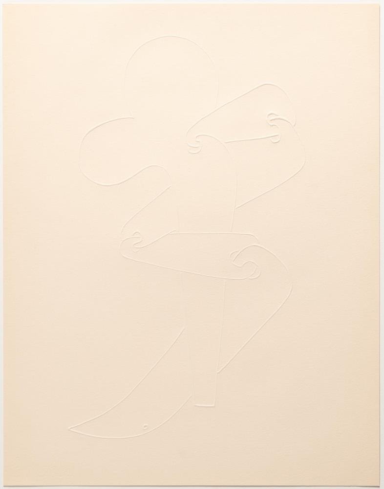 L'oiseau qui n'existe pas