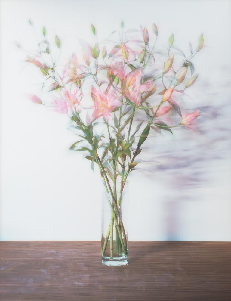 Bouquet (19.11.–30.11.2005)