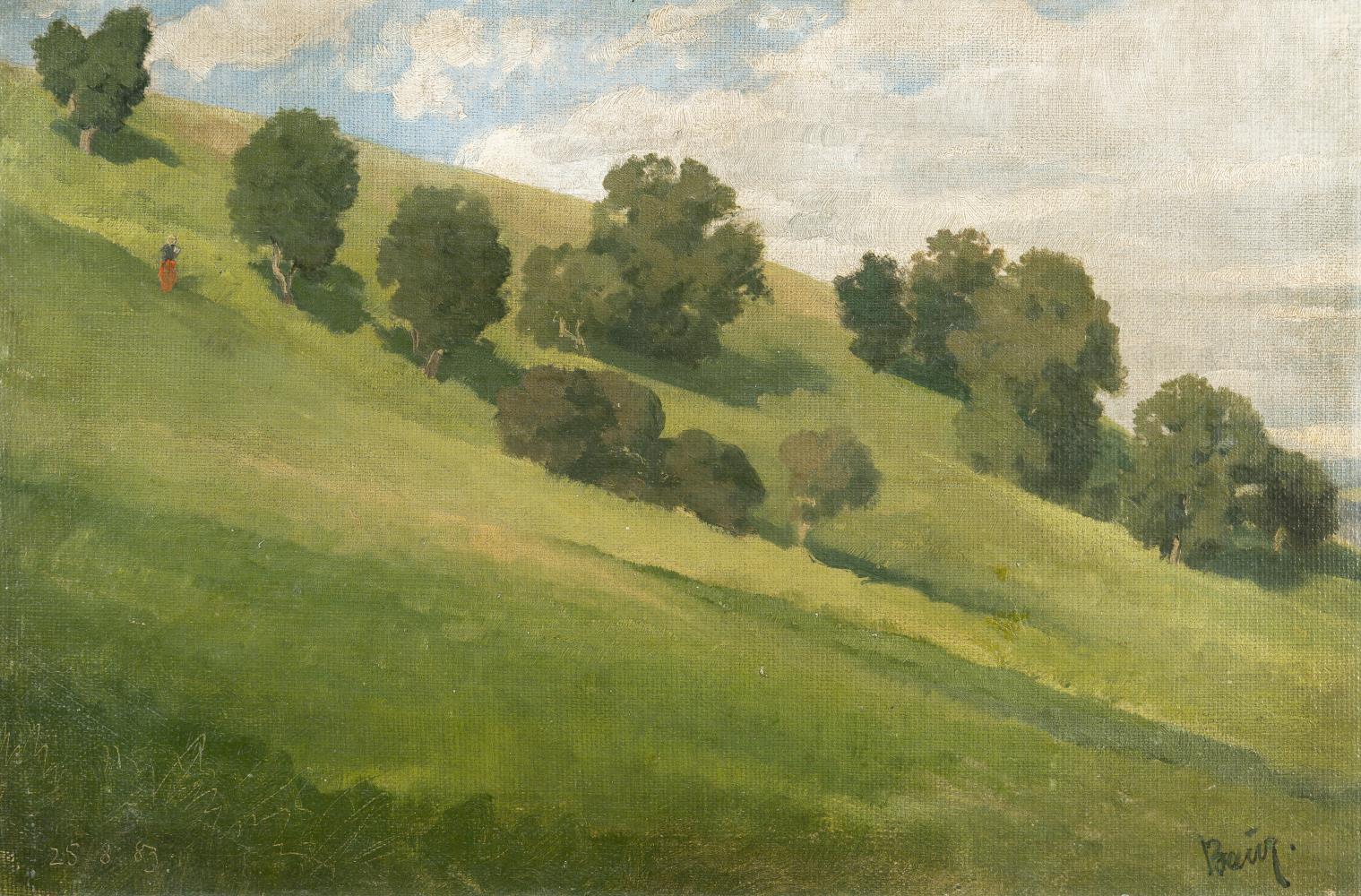 Bei der Windschur