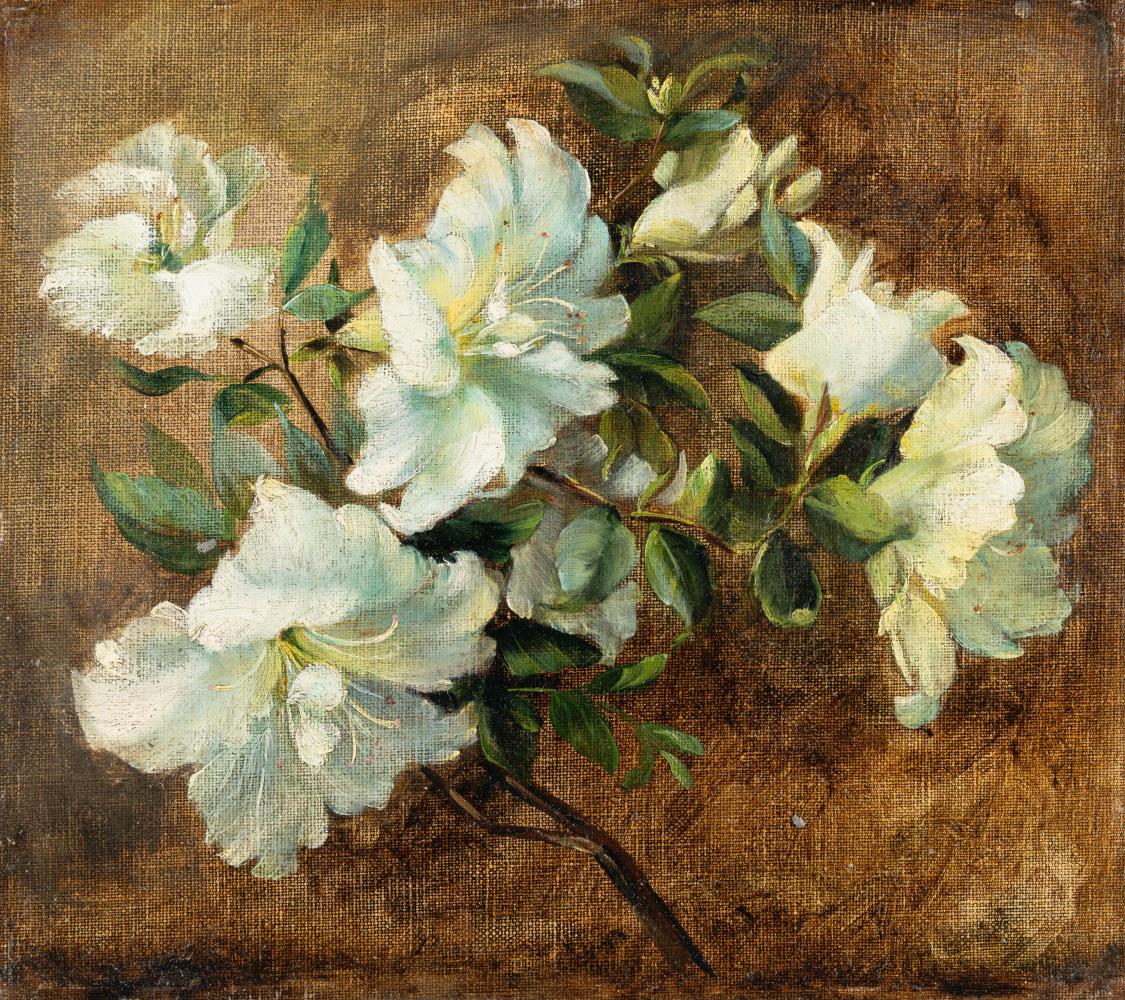 Azaleenzweig