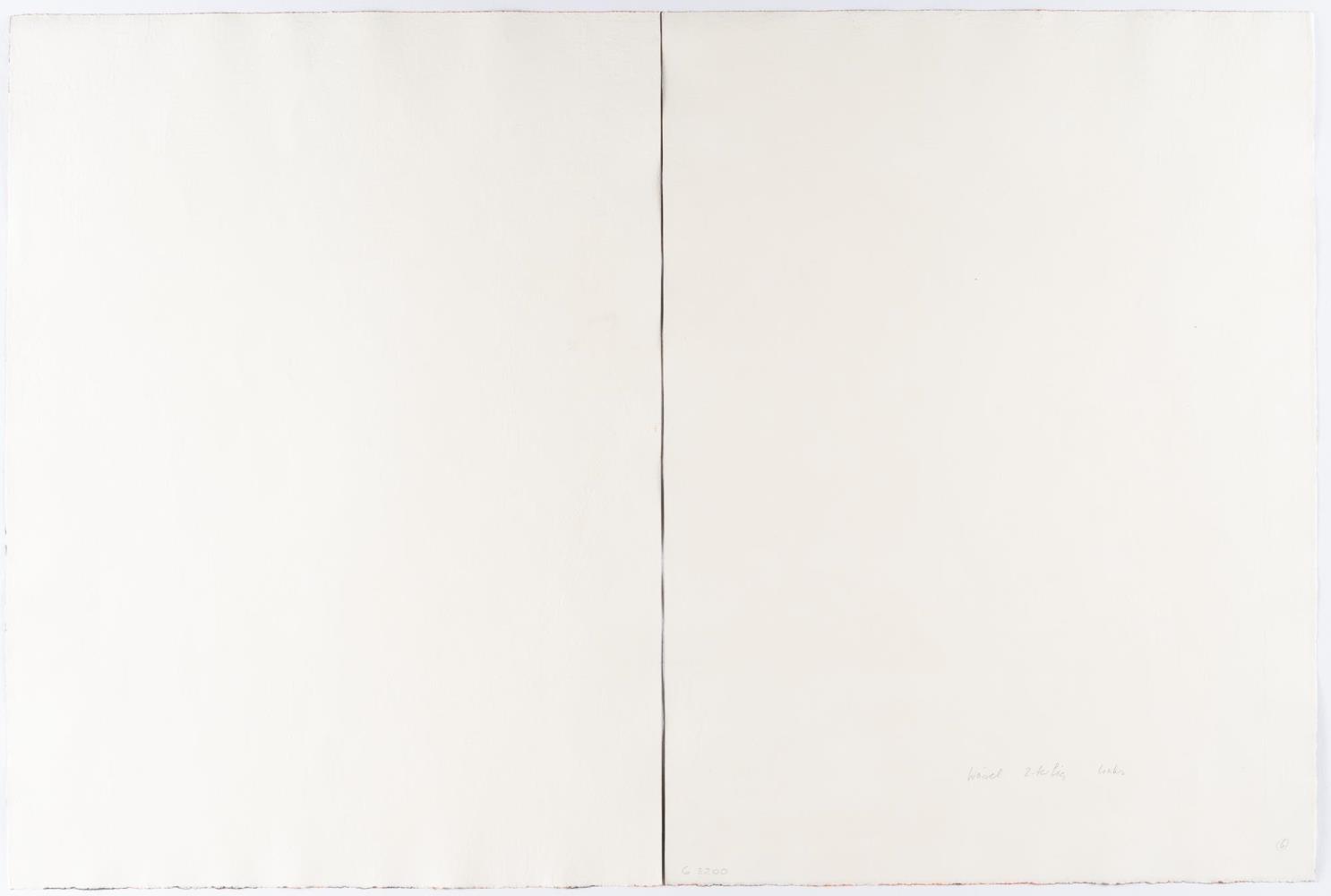 Ohne Titel (Gießkanne)