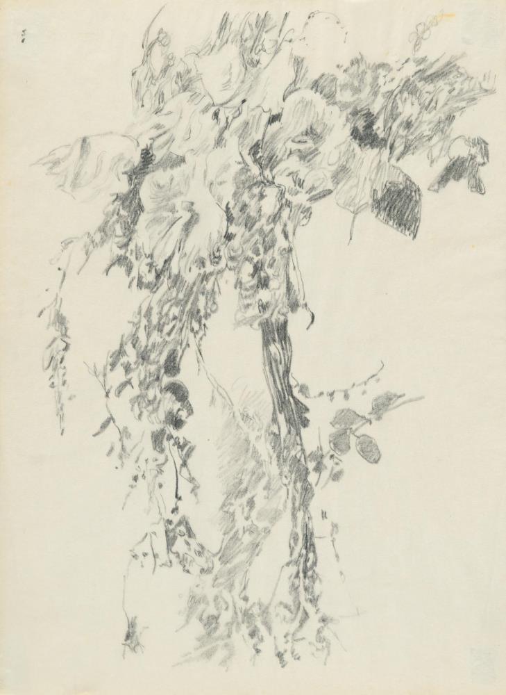 Blütenzweig (Studie)