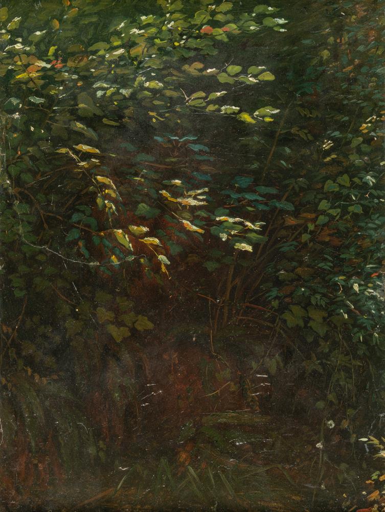 Sottobosco