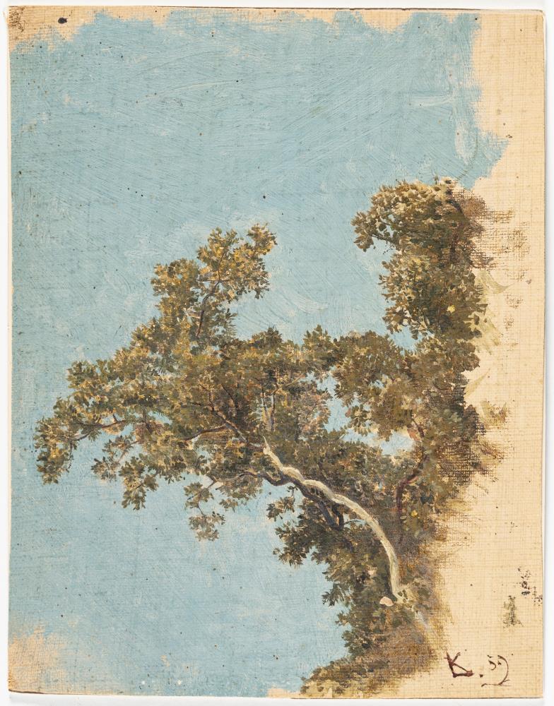 Baum vor blauem Himmel