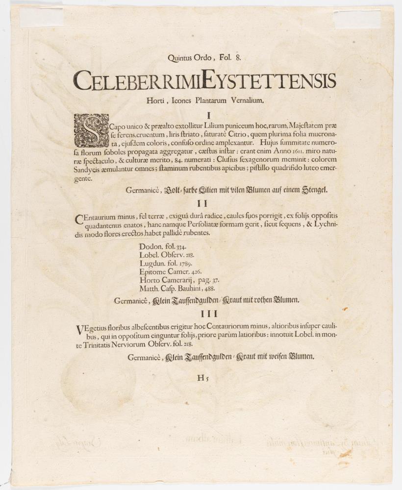 2 Bll. aus: Hortus Eystettensis
