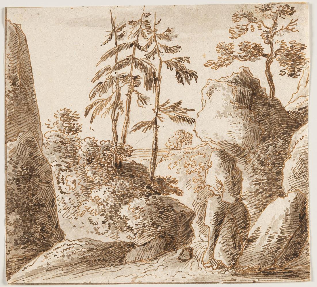 Felsige Landschaft mit Bäumen