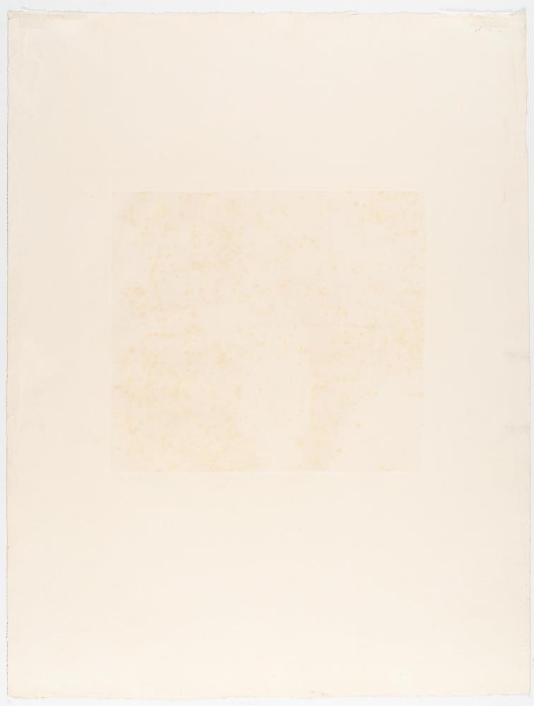 „Schriftgelehrte“