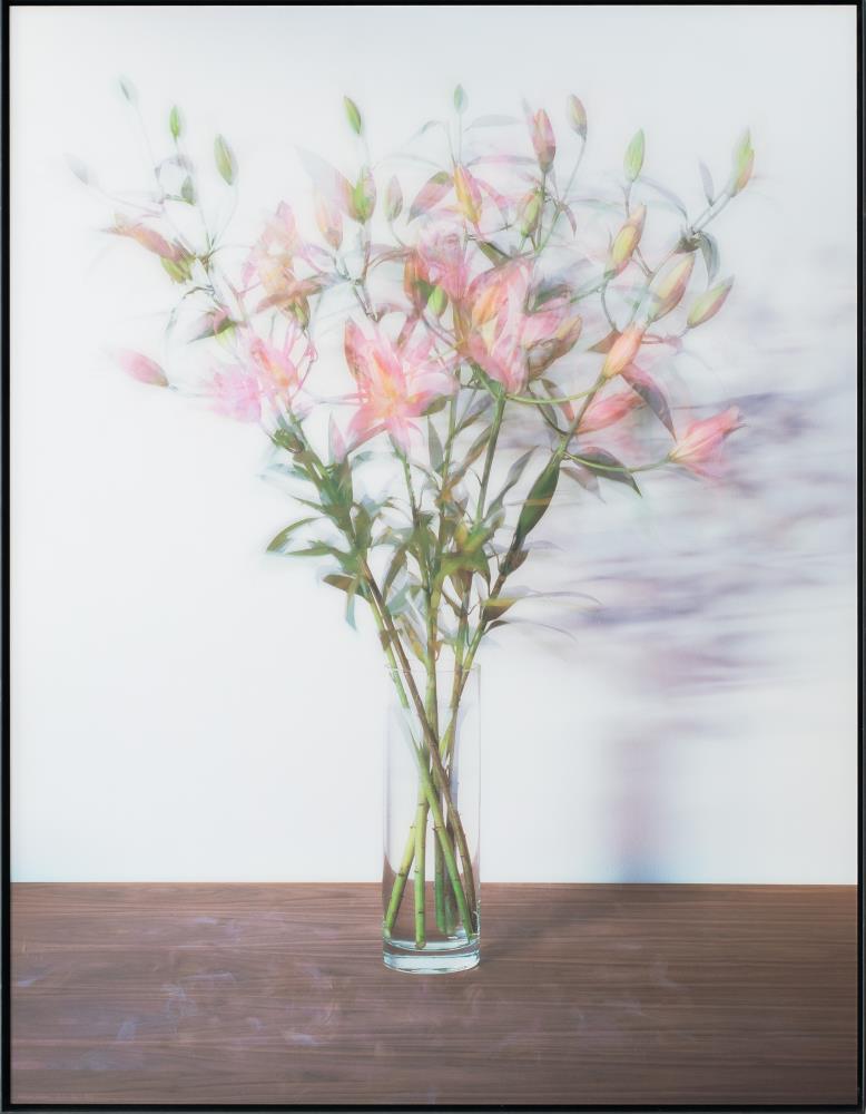 Bouquet (19.11.–30.11.2005)