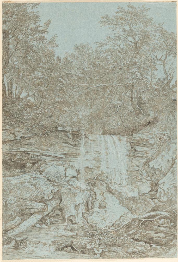 Waldschlucht mit Wasserfall