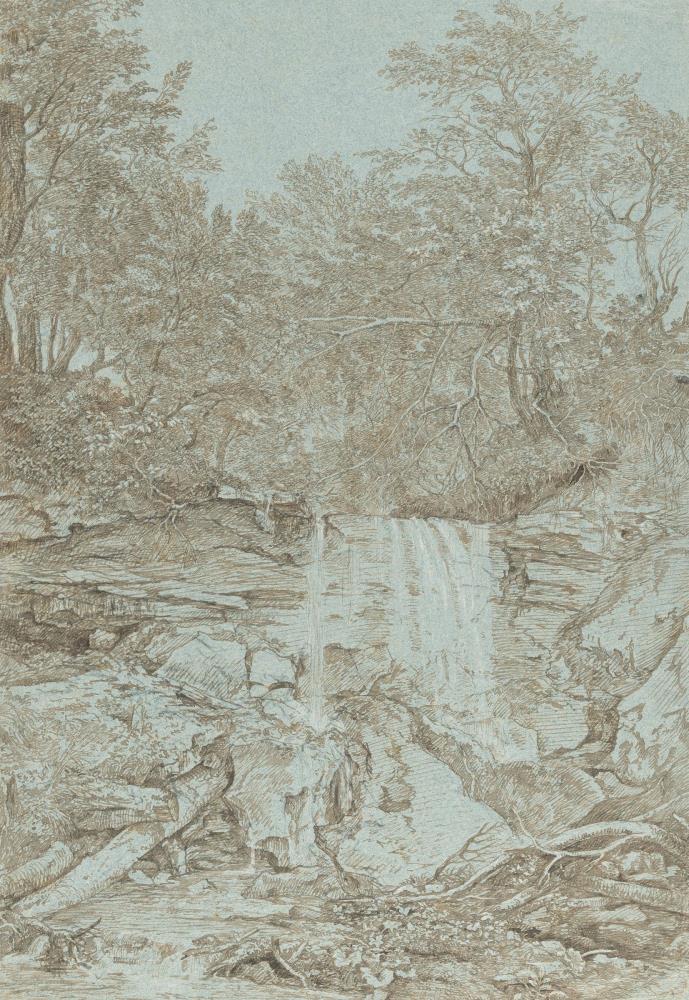 Waldschlucht mit Wasserfall