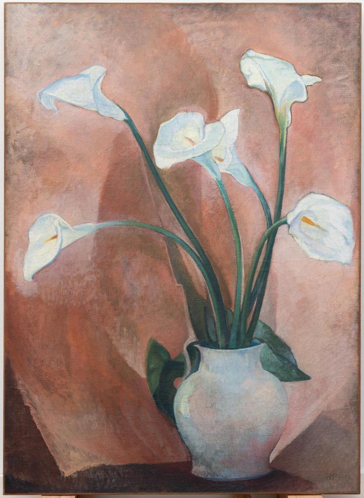 Calla-Lilien