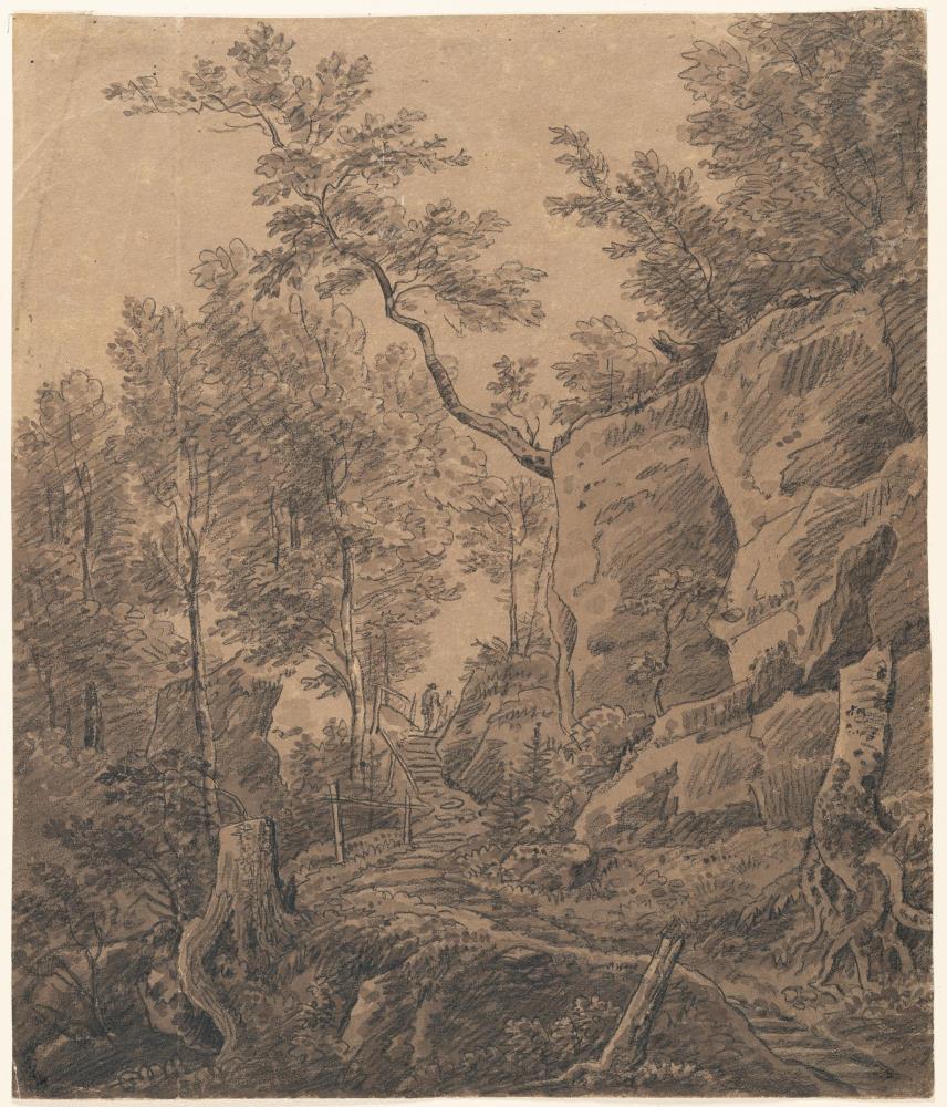 Waldweg in einer Klamm