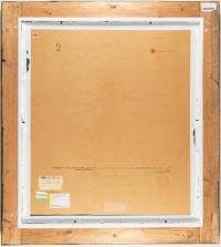 „funktionelle vegetation“