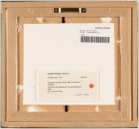 Study for Sunset Nude (Miami Variation)