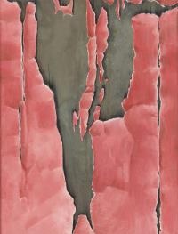 "DZEJE ROKU" (Die Geschichte des Jahres)