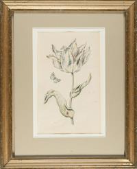 Geflammte Tulpe mit Schmetterling und Marienkäfer