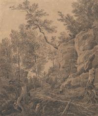 Waldweg in einer Klamm